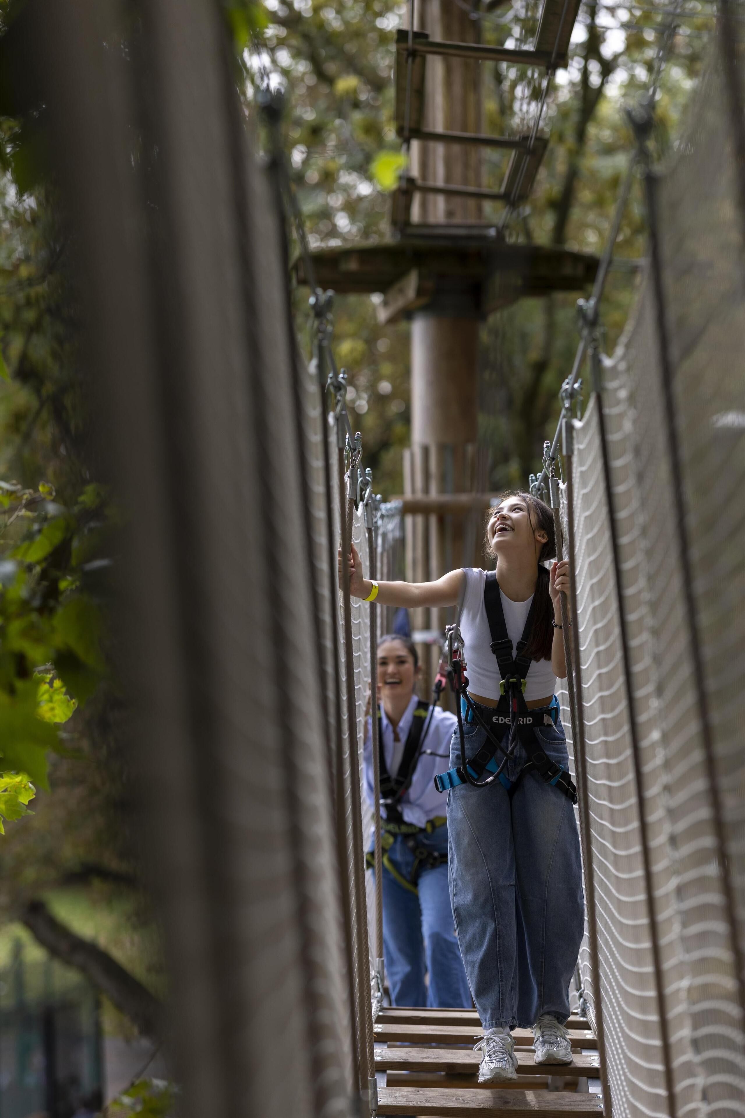 A person on a rope bridge with safety harnesses, surrounded by trees.