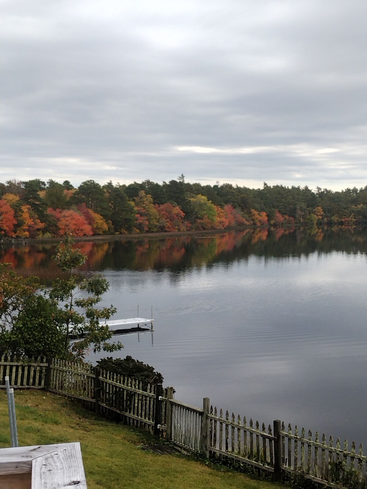 Værtens profilbillede