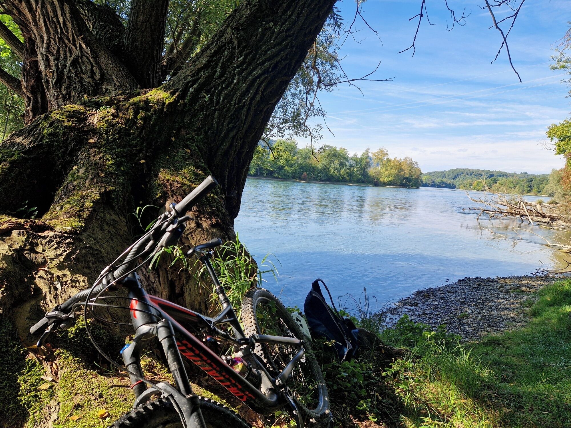 Un vélo tout-terrain est appuyé contre un arbre, près d’une rivière paisible.