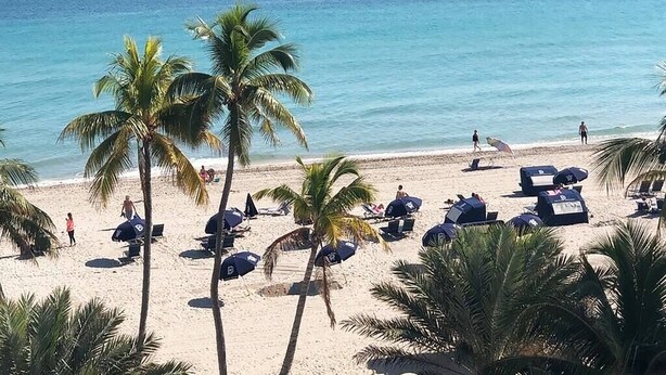 A beach with palm trees, sun loungers, and umbrellas.