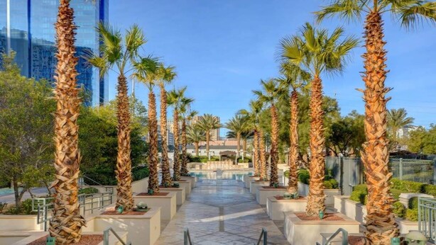 A pathway lined with palm trees leading to a building with a pool. - F1 Track + Strip View Studio Suite with Balcony (Las Vegas)