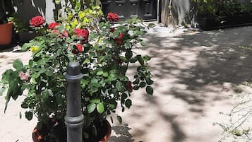 Details aan de buitenkant