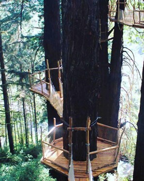Ein Baumhaus mit einer runden Plattform und einer Leiter, umgeben von hohen Bäumen in einem Wald.