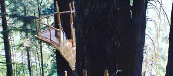 Indoor heated pool ocean views. Fishing short walk away. Pet Friendly! 