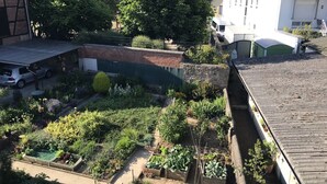Un jardín en la azotea con diversas plantas y un coche estacionado.