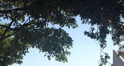 Lovely 5 Person Chalet in St Margaret's at Cliffe