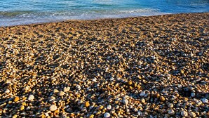 A pebbled beach with a pier extending into calm waters under a clear sky.