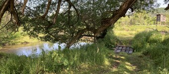 Peaceful & Serene 120 Acre Mountain Farm Retreat