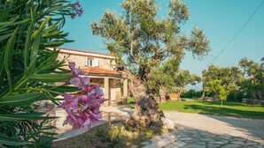 A stone house with a tiled roof, surrounded by greenery and a stone pathway. - Il Greco   (Zakynthos)