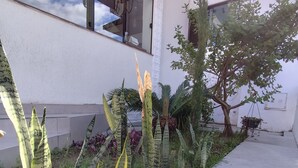 A modern building with a concrete pathway and various plants, including tall green and yellow foliage. - Novo Hotel (Itajuba)