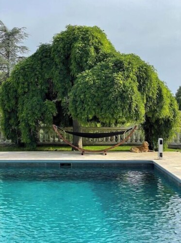 Charmant Studio Avec Piscine et Parc Arboré