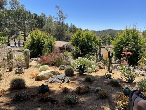 Ranch in equestrian community