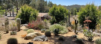 Ranch in equestrian community