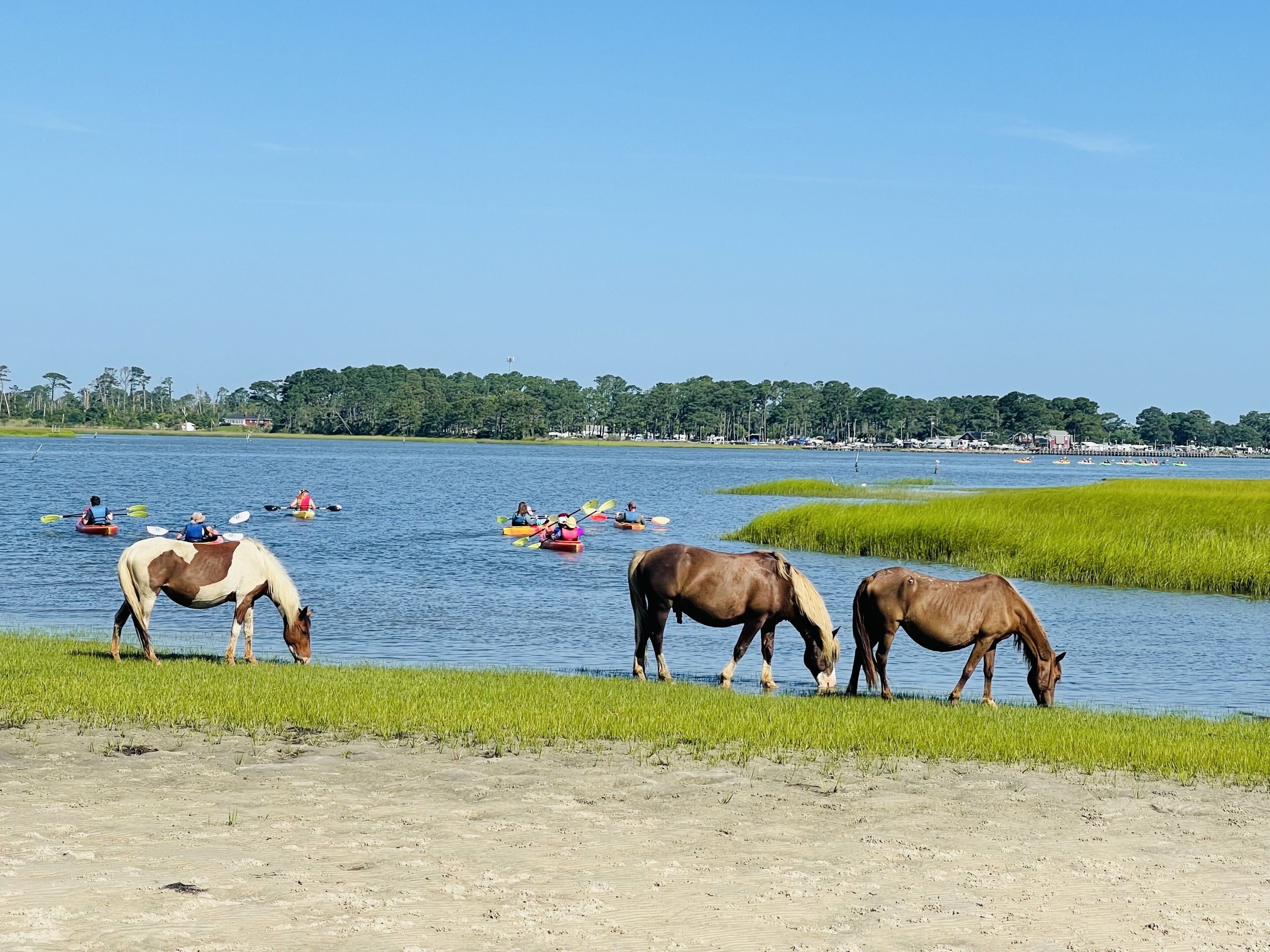 Un paysage paisible au bord d’un lac, avec des chevaux qui paissent près de la rive et des personnes pratiquant le kayak sur le lac.
