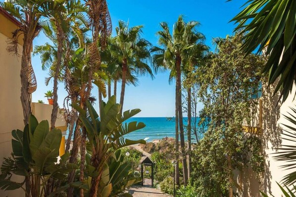 A pathway leading to a beach with palm trees and a clear view of the ocean.