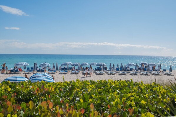 Relax in comfort beneath the shade of our beach umbrellas and lounge chairs.