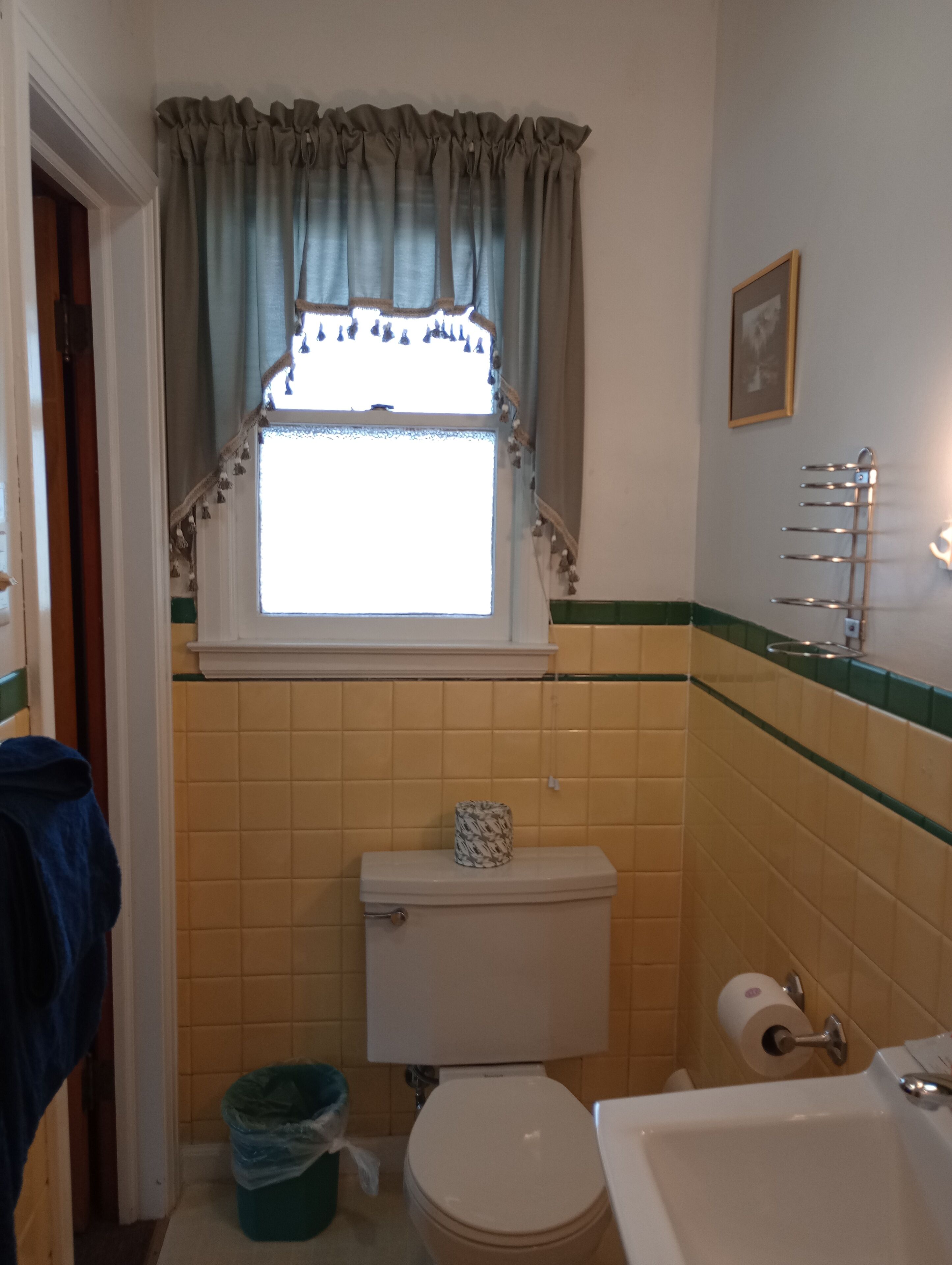 A bathroom with a toilet, a sink, a window with curtains, and a towel rack.