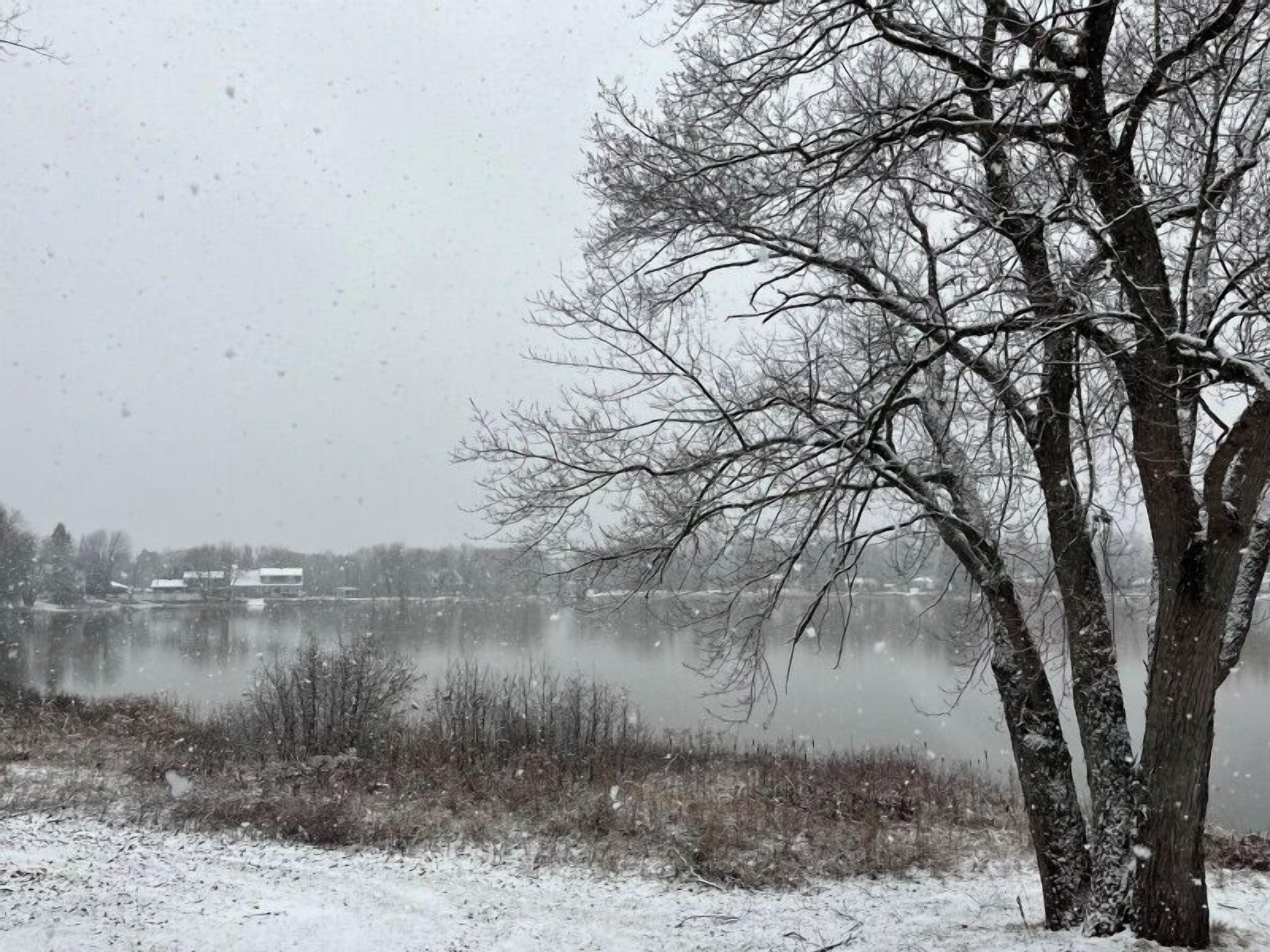 A snowy landscape with bare trees and a calm body of water.