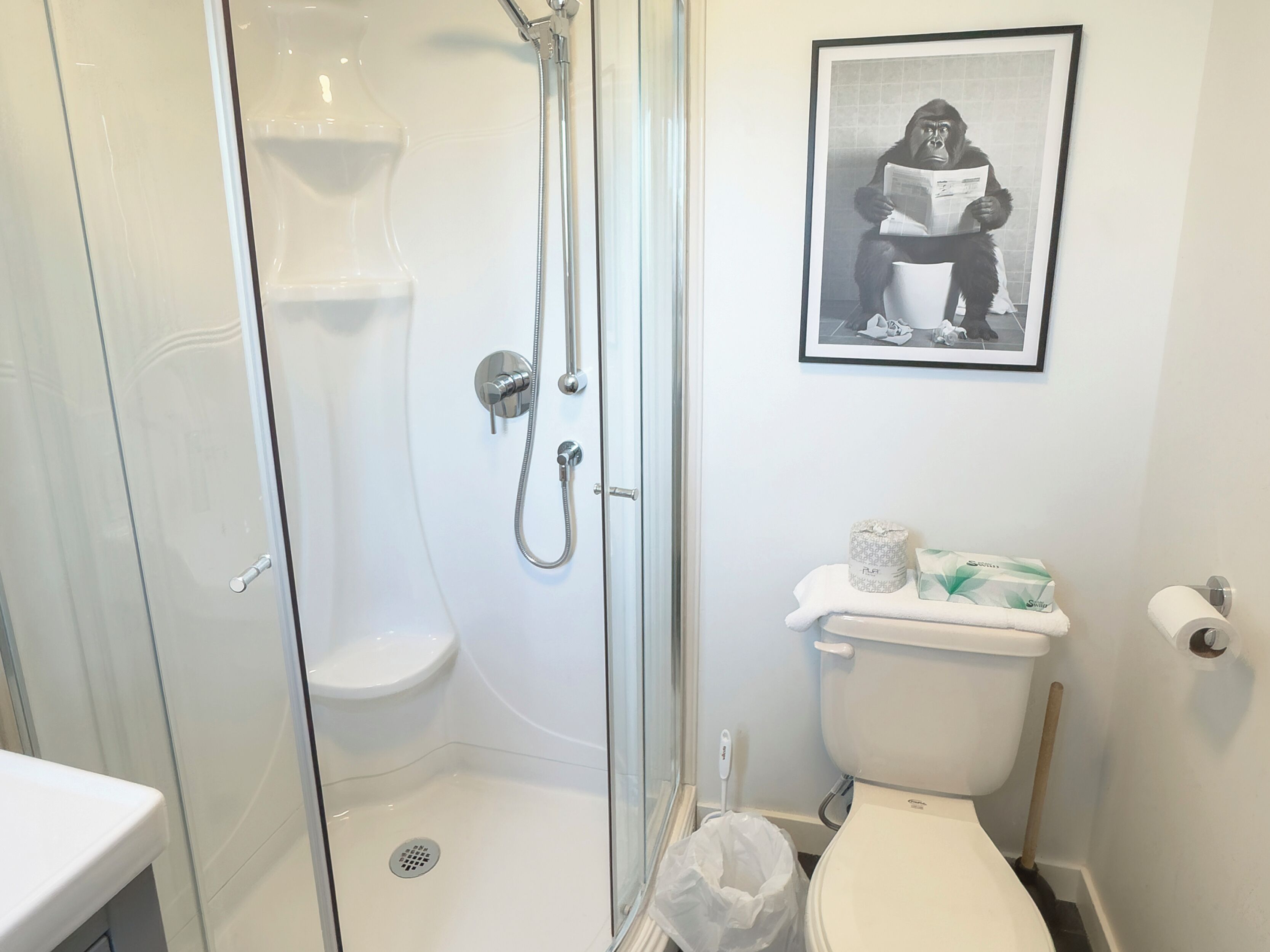 A bathroom with a glass-enclosed shower, a toilet, and a framed picture on the wall.