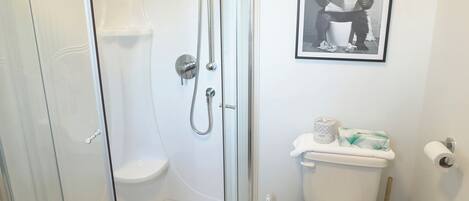A bathroom with a glass-enclosed shower, a toilet, and a framed picture on the wall.