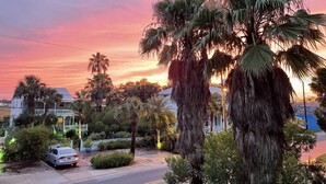 A residential street with houses, palm trees, and a parked car during sunset.
