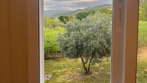 Une vue à travers une fenêtre sur un espace verdoyant, avec un arbre et des collines au loin.