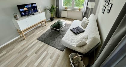 Cozy apartment in the center