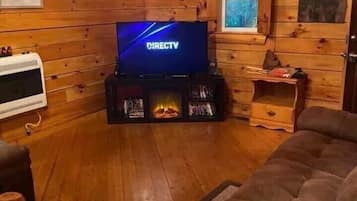 TV, fireplace, DVD player, books