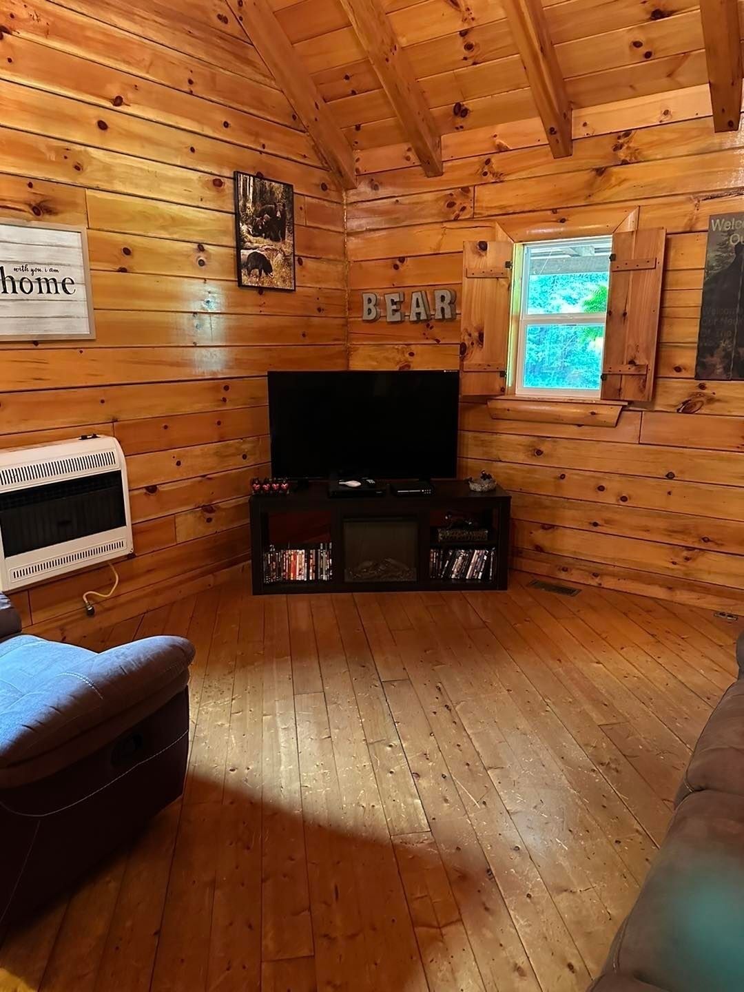 TV, fireplace, DVD player, books