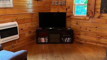 TV, fireplace, DVD player, books