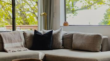 Televisión, chimenea