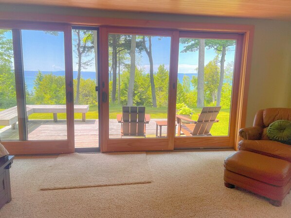 Smart TV, chimenea, reproductor de DVD y libros 