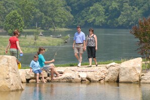 Lake - Beautiful Cabin - Secluded But Convenient (Branson)