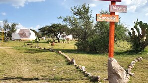 Un cartel con indicaciones que señalan 'Perseverance', 'Odyssey' y 'Curiosity' en un área cubierta de césped bajo un cielo despejado.