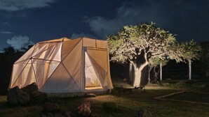 Una tienda de campaña con estructura geométrica y un árbol de follaje denso.