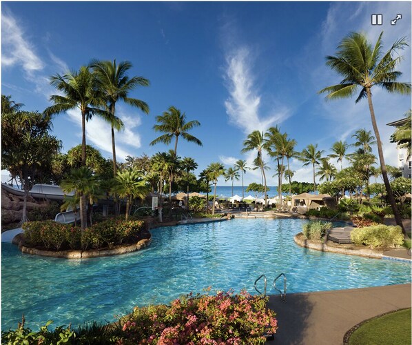 Relax by the pool surrounded by lush palm trees and tropical vegetation.