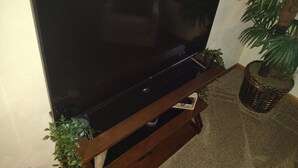Ein Flachbildfernseher auf einem Holzständer, daneben eine Pflanze.