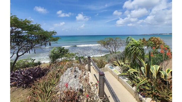 Vista costera con un camino de madera que conduce a una playa, rodeada de vegetación tropical.