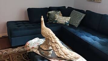 TV connectée, livres, espaces bureaux