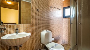 Une salle de bain avec un lavabo, des toilettes et une douche.