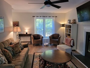 Smart TV, chimenea, libros y monitor de computadora