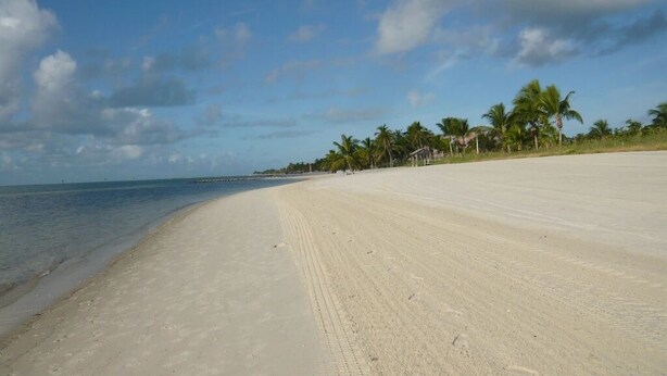 Ein weiter Sandstrand mit Palmen und blauem Himmel.