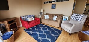 TV, fireplace, DVD player, books