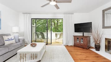 Smart TV, fireplace, books