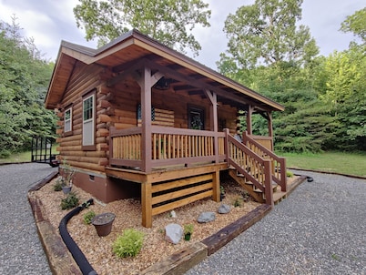 Bennett Lake Tiny Cabin