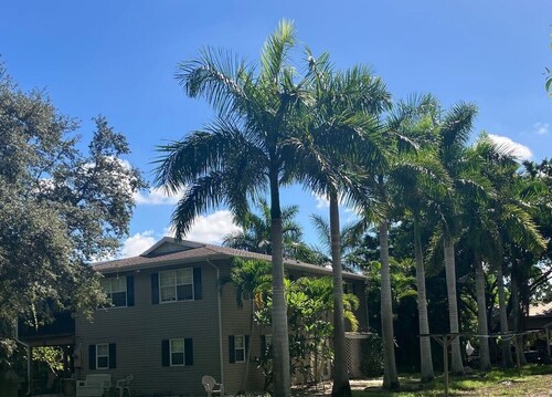 Private location on island time