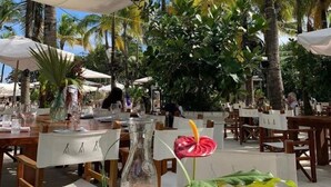 Un espace de restauration en plein air, avec des tables et des chaises, entouré de palmiers et agrémenté de parasols.