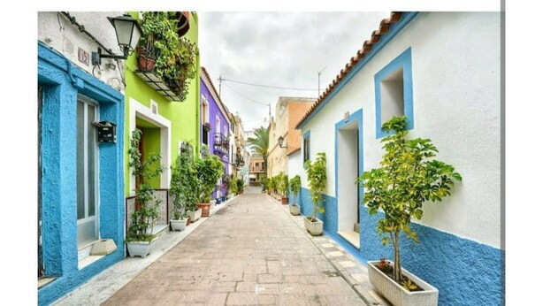 Uma rua estreita com edifícios coloridos, plantas em vasos e um caminho de pedras.