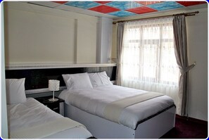 Standard Twin Room | Premium bedding, down comforters, free WiFi