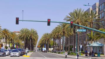 A street intersection with traffic lights, palm trees, and a building with a sign reading 'Harbor Blvd.'